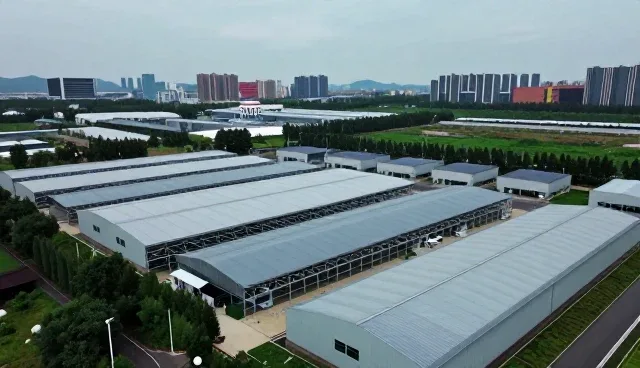 业务转型背景下品牌策划如何提升执行效率